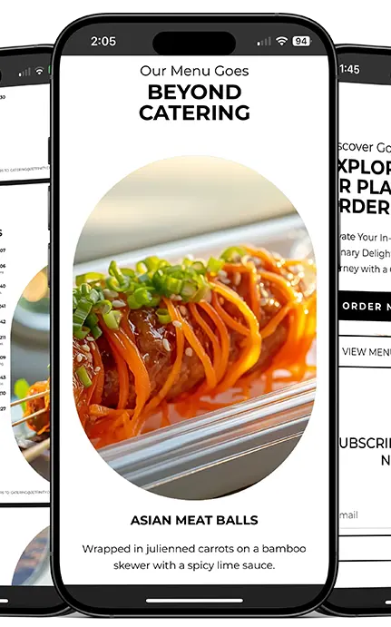 Jetfinity mobile website with curated menu options and premium catering services.